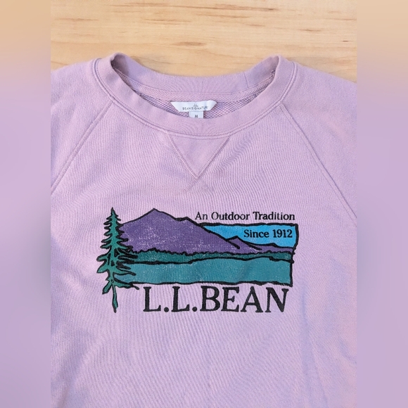 Medium L.L. Bean Vintage Pink Graphic Sweatshirt - Picture 2 of 12